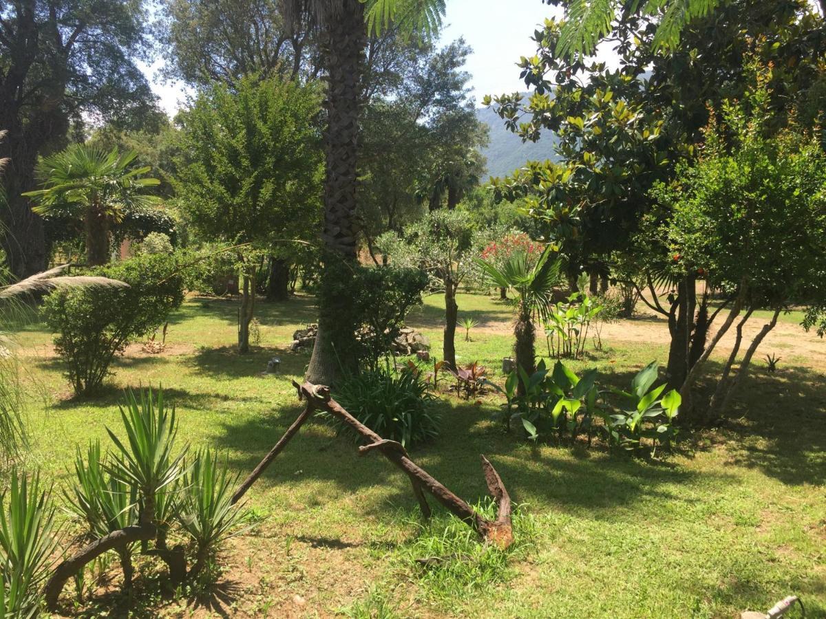Residence Emilia Santa-Maria-Poggio  Екстериор снимка