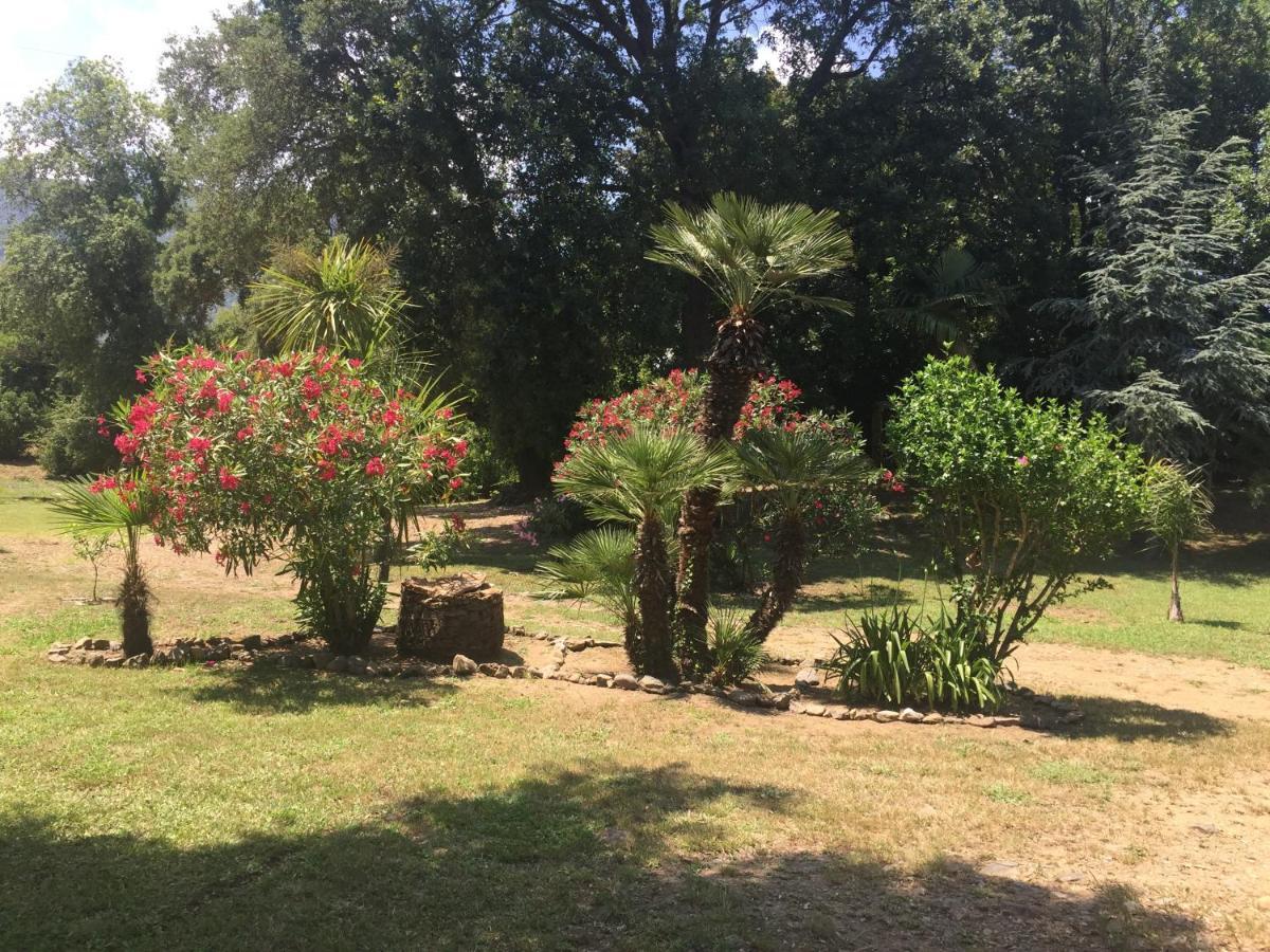 Residence Emilia Santa-Maria-Poggio  Екстериор снимка