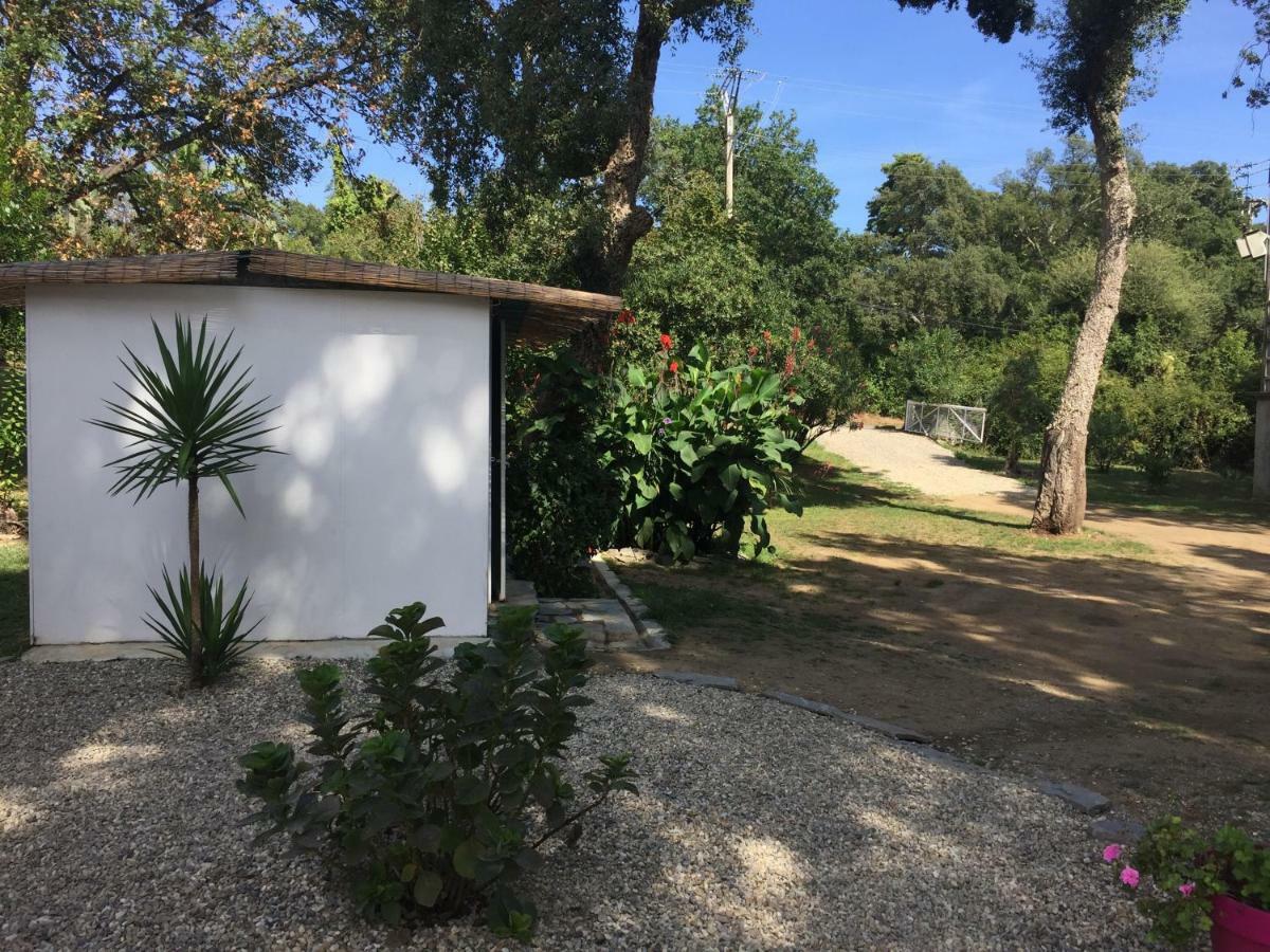 Residence Emilia Santa-Maria-Poggio  Екстериор снимка