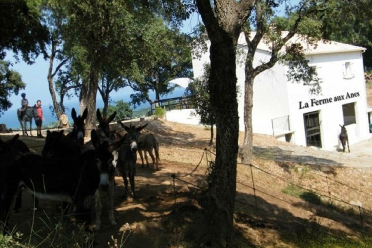 Residence Emilia Santa-Maria-Poggio  Екстериор снимка